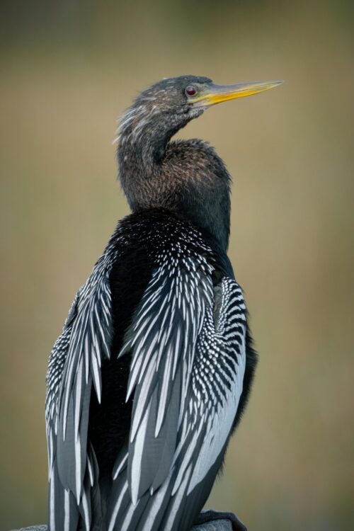 Concept Image : pixles.com